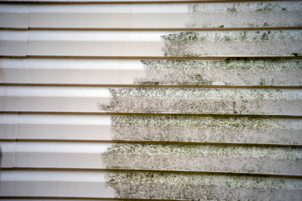 Affordable siding repair and maintenance services in Pearl River, LA