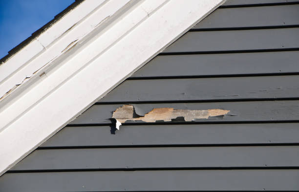 Trusted Pearl River, LA Siding Installation & Repair Experts